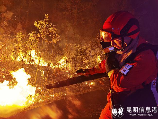 4 中隊(duì)參加滅火戰(zhàn)斗 4 中隊(duì)參加滅火戰(zhàn)斗