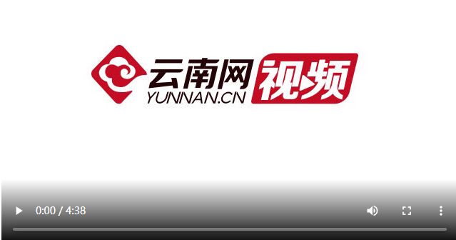 點(diǎn)擊查看視頻