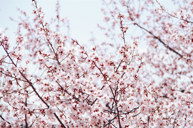 5e992b35-a8f5-409a-8eb9-5a4310bb375e 5e992b35-a8f5-409a-8eb9-5a4310bb375e