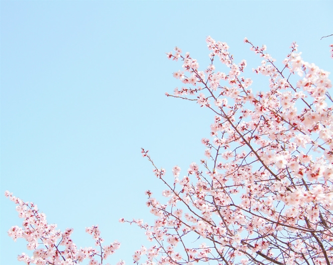 b199209a-0126-4a7c-9ce4-c6566ab34bd0 b199209a-0126-4a7c-9ce4-c6566ab34bd0