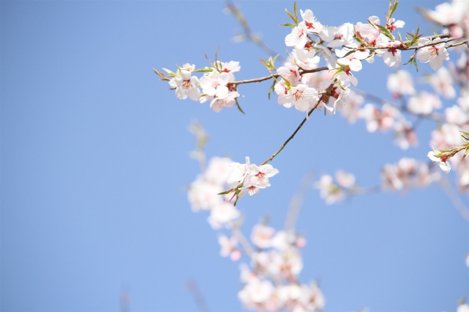 96e4fe58-bd43-4f99-9e50-d86b7625c3ca 96e4fe58-bd43-4f99-9e50-d86b7625c3ca