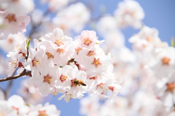 777bc07d-cd41-4565-9710-dd6d1bf6a0b6 777bc07d-cd41-4565-9710-dd6d1bf6a0b6