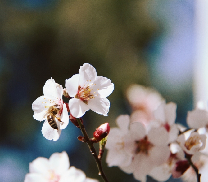 dd8492a2-238e-4328-984a-c4c985eece76 dd8492a2-238e-4328-984a-c4c985eece76