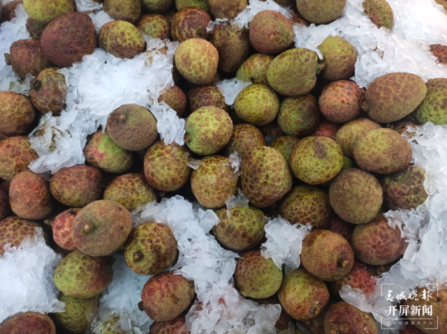 時令水果繽紛上市 價格均有降低 茶飲店頻頻推新（孫江葒 實習(xí)生 趙佳琦 攝影報道）