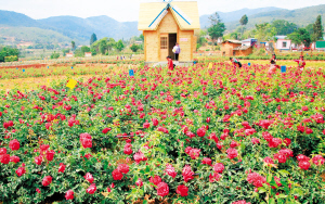 85771650566609257 85771650566609257