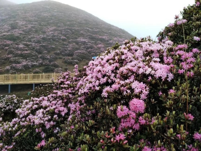 微信圖片_20220422192047 微信圖片_20220422192047