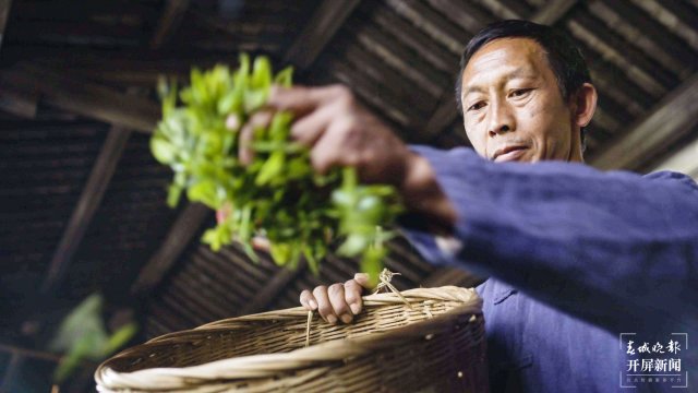 高黎貢山第七屆茶文化節(jié)在云南騰沖舉行