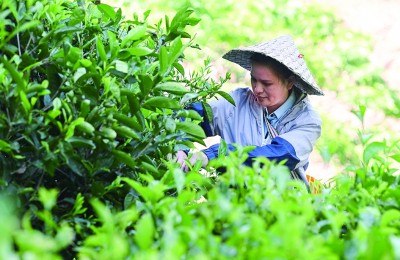 文化產(chǎn)業(yè):為振興路上的鄉(xiāng)村留住鄉(xiāng)愁 文化產(chǎn)業(yè):為振興路上的鄉(xiāng)村留住鄉(xiāng)愁