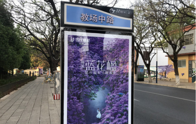 藍花楹 掌上春城