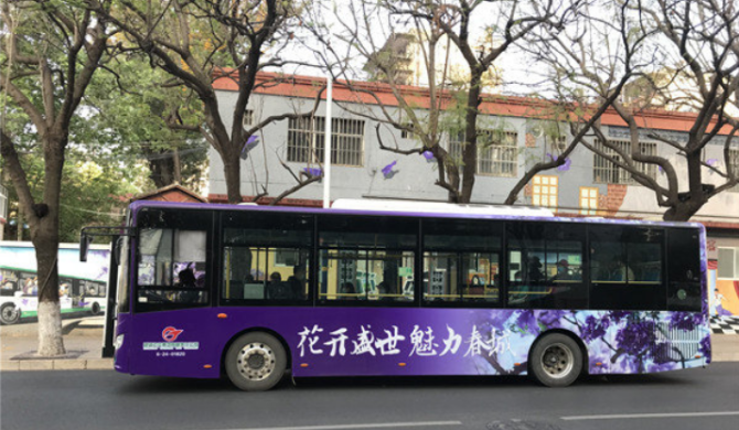 藍花楹 掌上春城