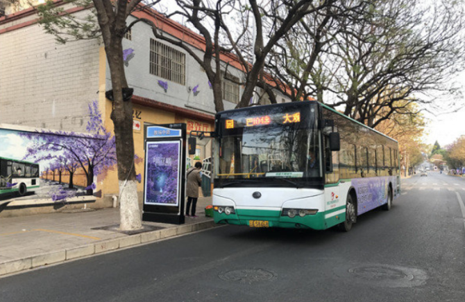 藍花楹 掌上春城