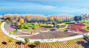 微信圖片_20220425082758