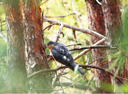 截屏2022-04-25 上午10.01.20