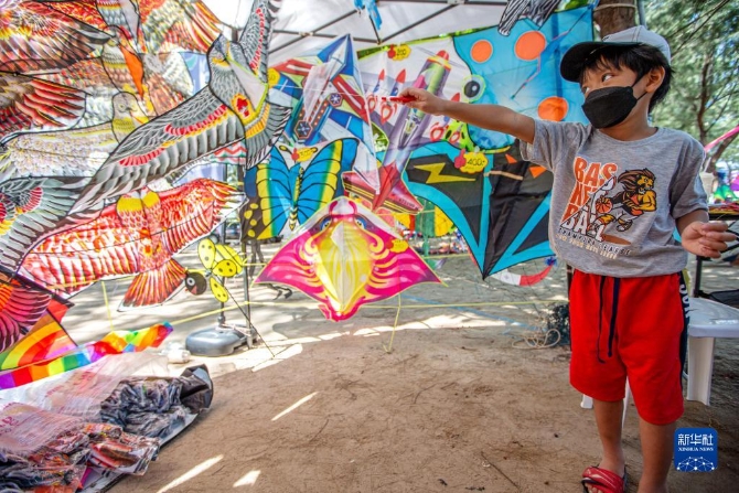 1128591086_16507851000111n