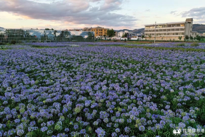 bc7f8250-4f27-44aa-83d6-2341c85fdd57