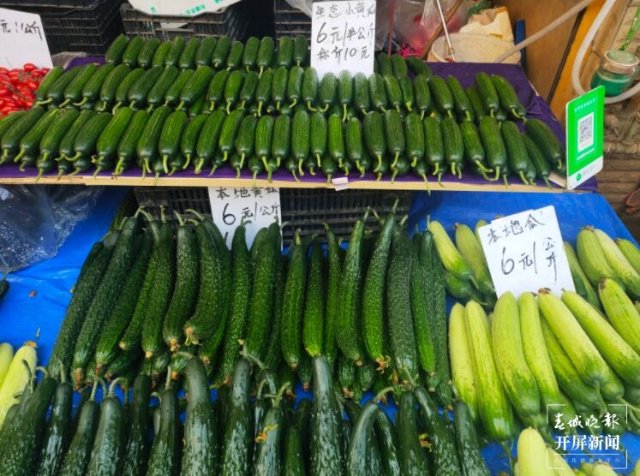 昆明蔬菜(開屏新聞記者 孫江葒 實習(xí)生 趙佳琦 攝)