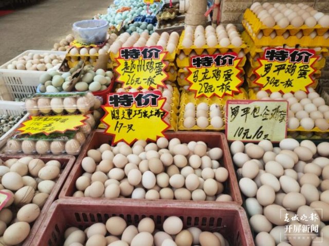 昆明蔬菜(開屏新聞記者 孫江葒 實習(xí)生 趙佳琦 攝)