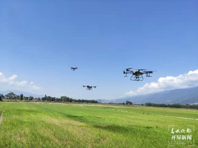 云南盈江：群眾從吃得飽到村里遍地小洋樓