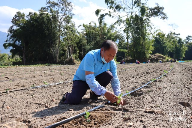 云南盈江：群眾從吃得飽到村里遍地小洋樓
