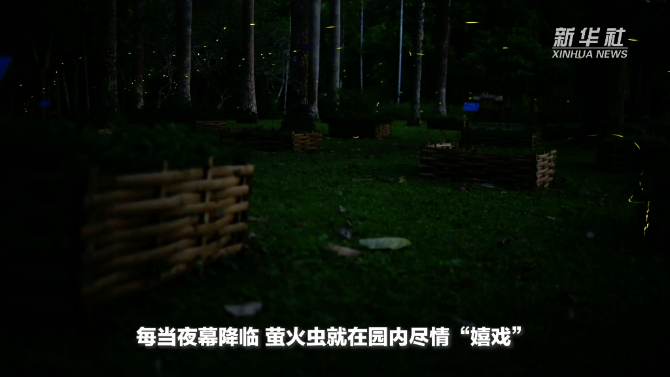 1310574671_16509632887201n 1310574671_16509632887201n