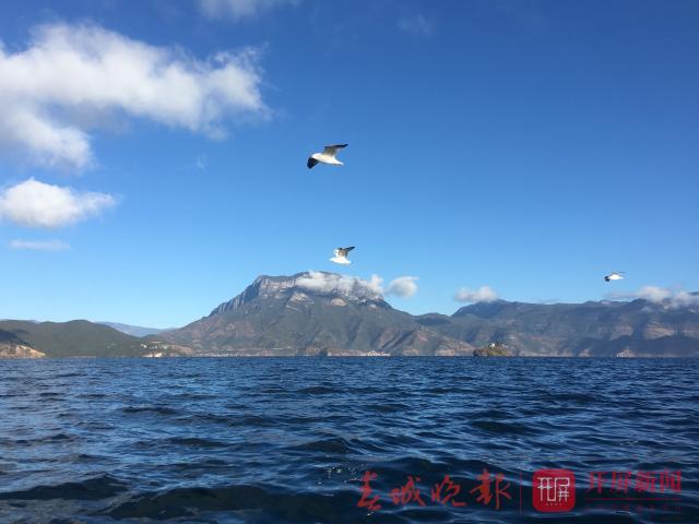 20191206110631TX1A9Vm