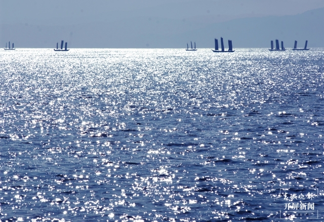 202110291129480DUKXC