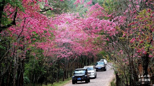 20220228210033CU3QQE