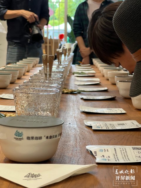 首場(chǎng)云南精品咖啡全國(guó)巡回杯測(cè)會(huì)在昆明舉行