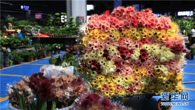 1310577751_1651129563195 1310577751_1651129563195