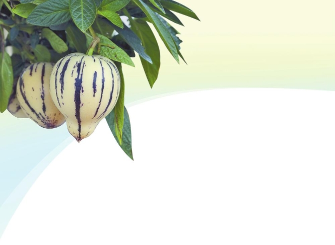 7478b332-ad99-4287-a089-3d61fb73d03e.jpg 7478b332-ad99-4287-a089-3d61fb73d03e.jpg