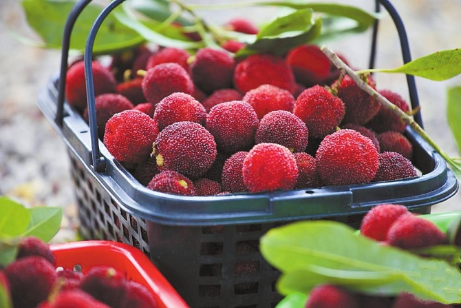 3f1543a5-5039-45d1-9799-fb688e5ce2f3.jpg 3f1543a5-5039-45d1-9799-fb688e5ce2f3.jpg