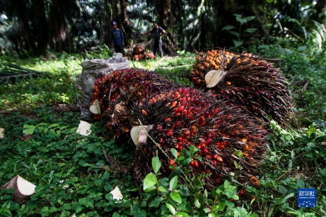 1128605603_16511887257511n 1128605603_16511887257511n