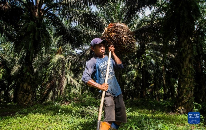 1128605603_16511887475681n 1128605603_16511887475681n