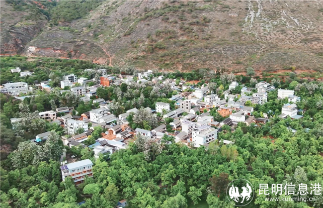 微信圖片_20220429222843 微信圖片_20220429222843