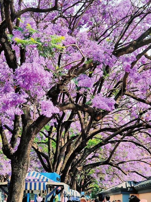 7f45c5b7-a66c-4f7b-8820-da290dfae3d4 7f45c5b7-a66c-4f7b-8820-da290dfae3d4