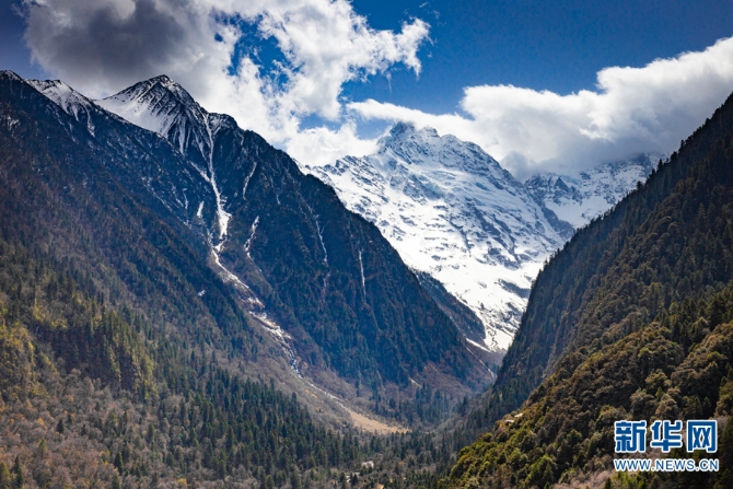 1310583719_16517120628401n