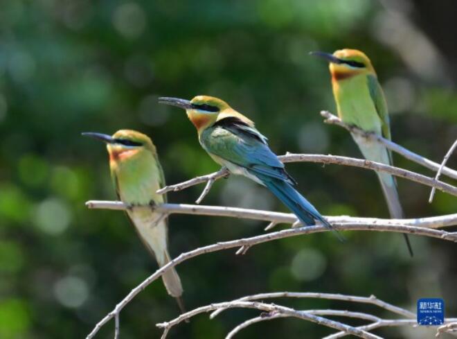 QQ截圖20220505114121