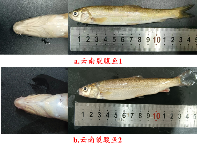 00304694155_b05f3655