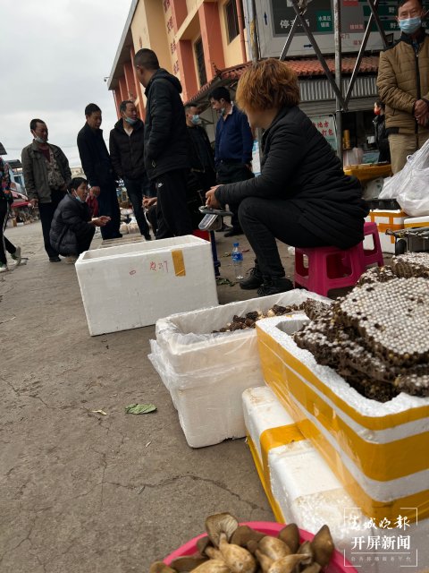 “五一”過后，野生菌漸多，云南木水花野生菌交易中心每天500公斤