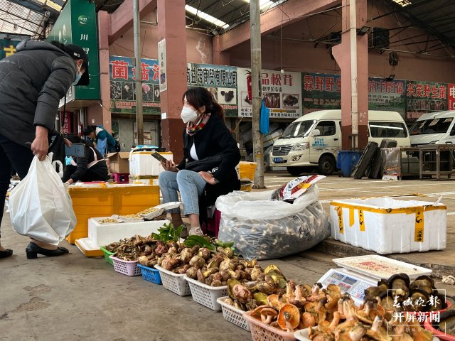 “五一”過后，野生菌漸多，云南木水花野生菌交易中心每天500公斤