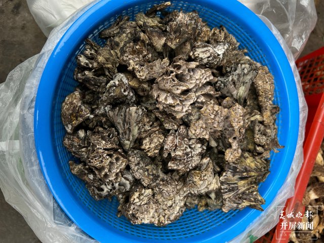 “五一”過后，野生菌漸多，云南木水花野生菌交易中心每天500公斤