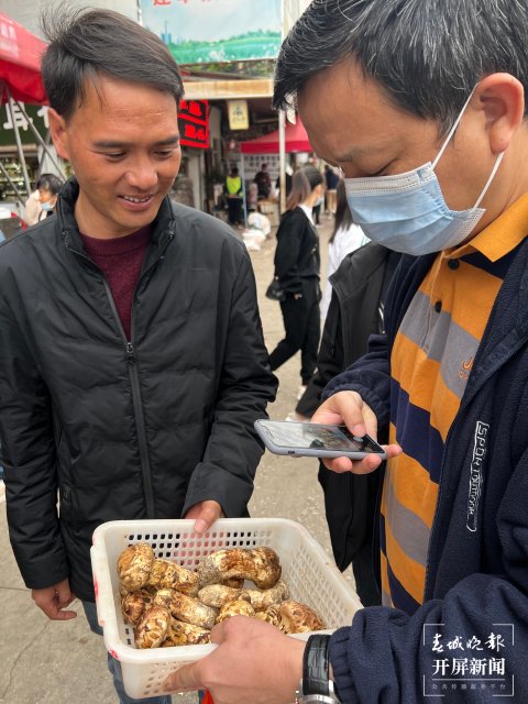 “五一”過后，野生菌漸多，云南木水花野生菌交易中心每天500公斤