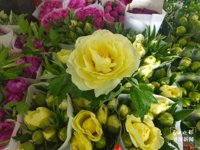 母親節(jié)，昆明康乃馨（開(kāi)屏新聞?dòng)浾?孫江葒 攝）