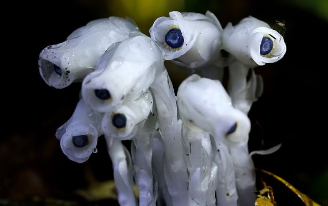 微信圖片_20220507082355