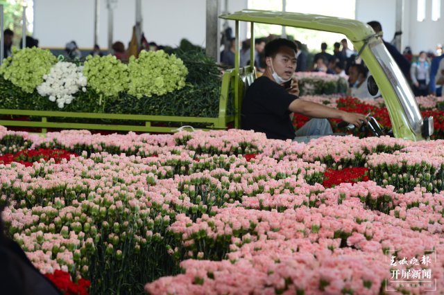 臨近母親節(jié) 康乃馨從一捆500元跌至80元 (14).JPG