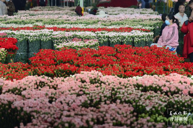 臨近母親節(jié) 康乃馨從一捆500元跌至80元 (12).JPG