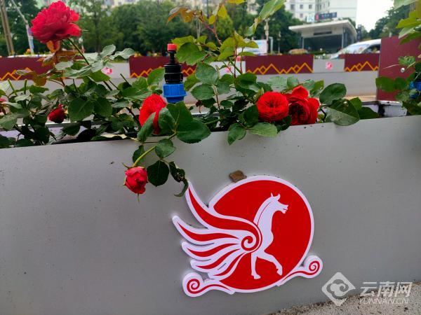 00304700946_f9838adf 00304700946_f9838adf