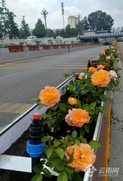 00304700947_0dded919 00304700947_0dded919