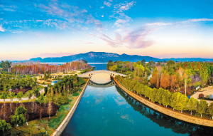 94631652030632691 94631652030632691