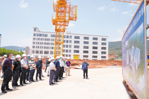 29531652030633129 29531652030633129